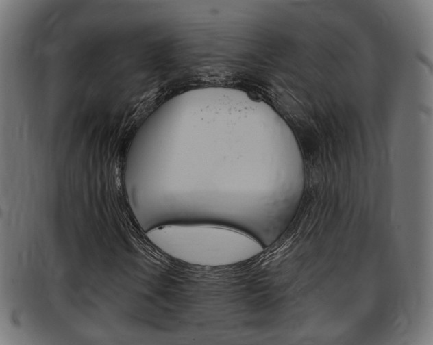 X0000097781106200803070907