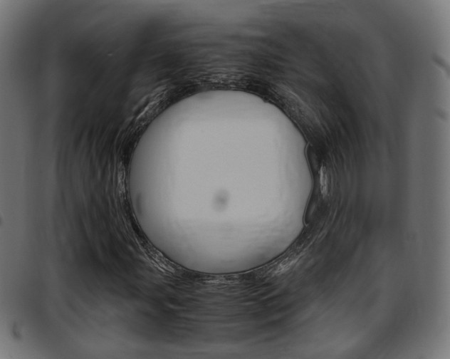 X0000097781107200803070907