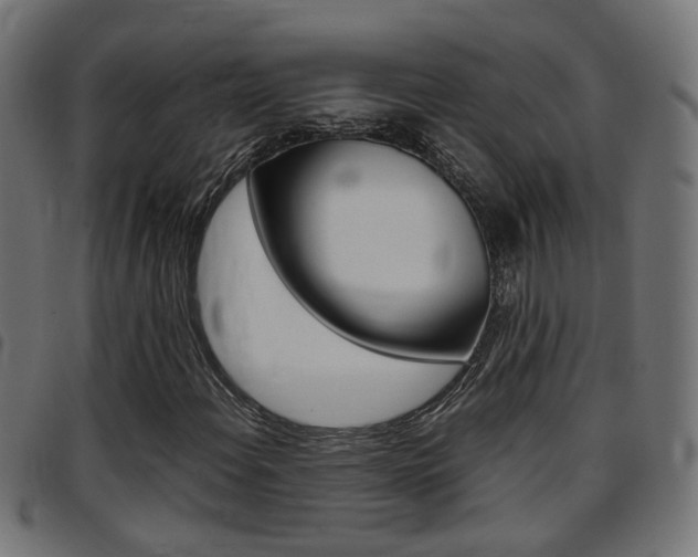 X0000097781108200803070907