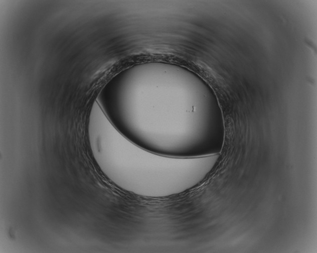 X0000097781110200803070907