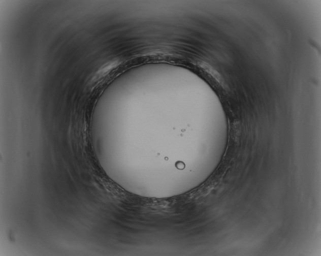 X0000097781111200803070907