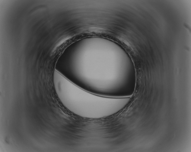 X0000097781112200803070907
