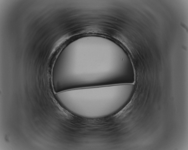 X0000097781115200803070907