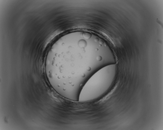 X0000097781117200803070907
