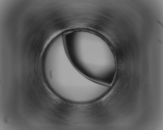 X0000097781118200803070907
