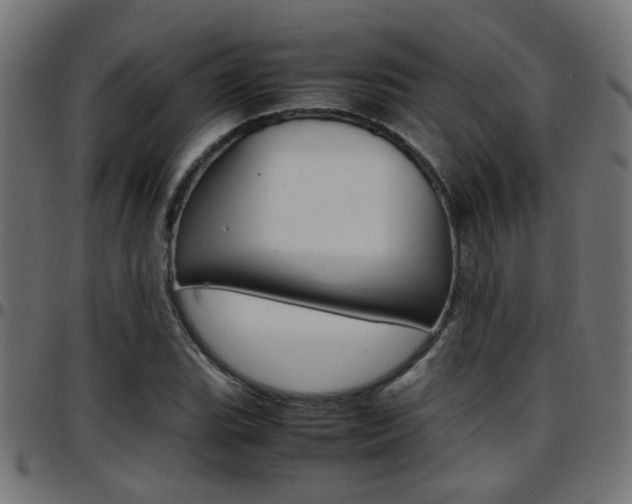 X0000097781119200803070907
