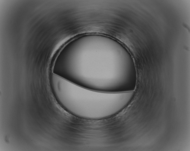 X0000097781120200803070907