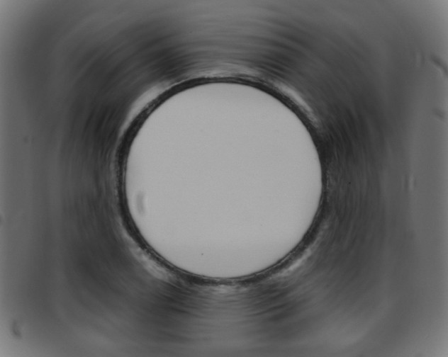 X0000097781122200803070907