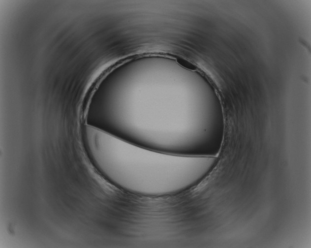 X0000097781124200803070907