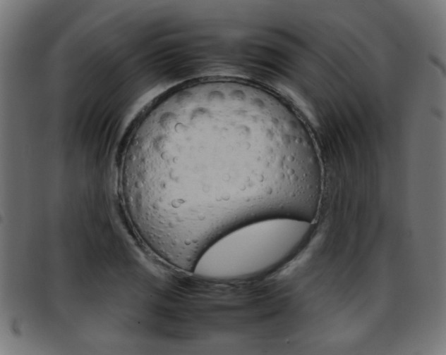 X0000097781125200803070907