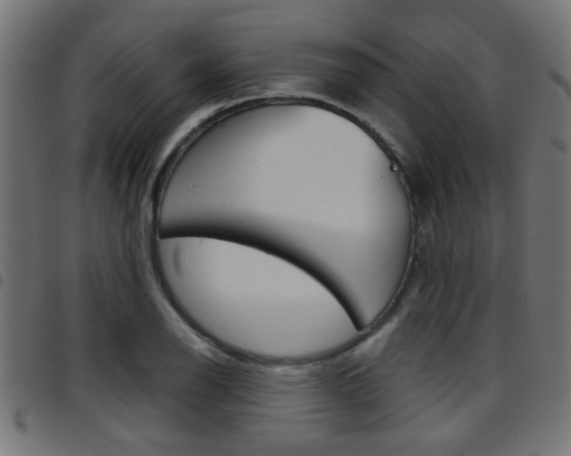 X0000097781126200803070907