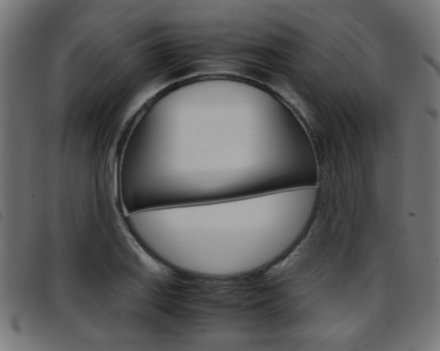 X0000097781127200803070907