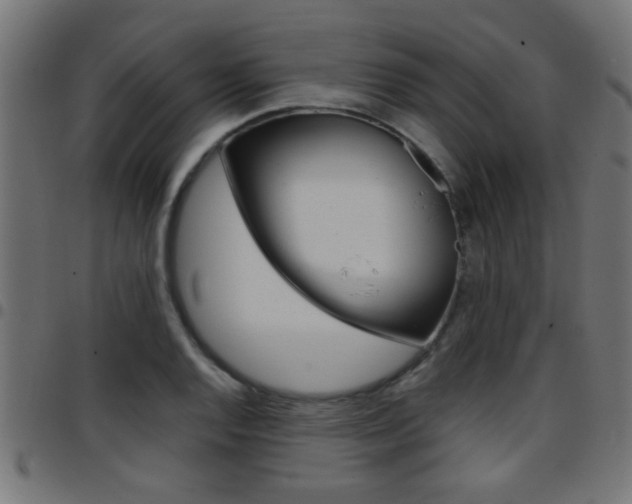 X0000097781128200803070907