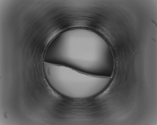 X0000097781129200803070907