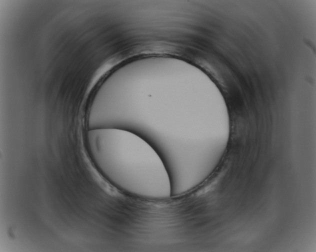 X0000097781130200803070907