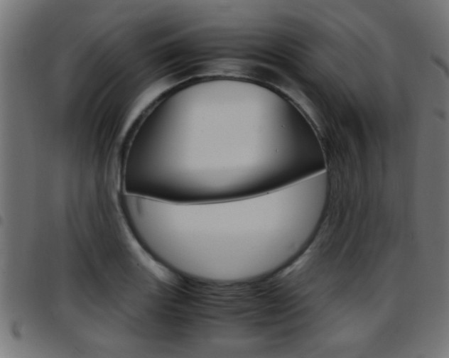 X0000097781131200803070907