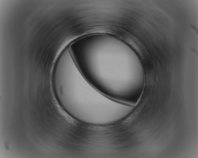 X0000097781132200803070907