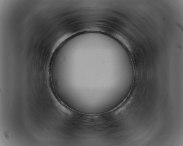X0000097781133200803070907