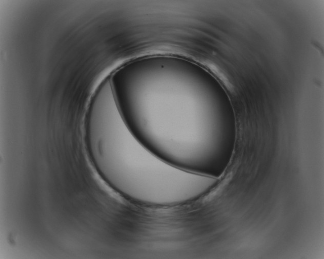 X0000097781134200803070907