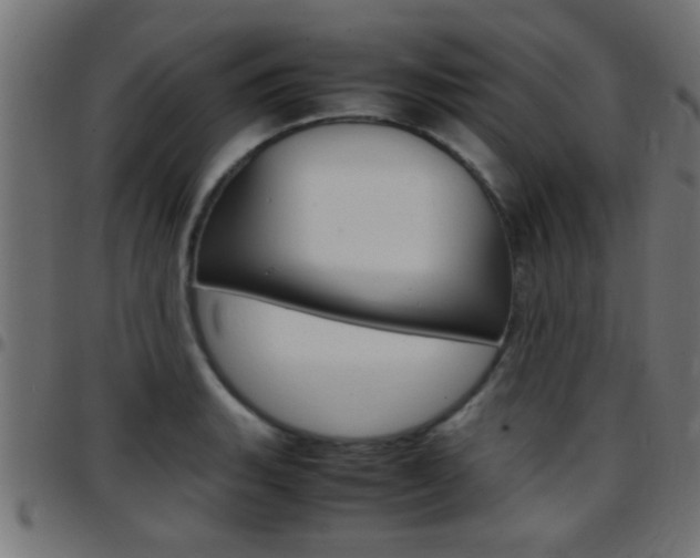 X0000097781135200803070907
