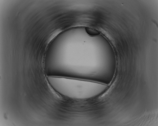 X0000097781137200803070907