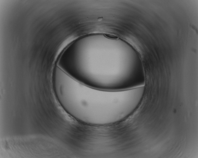 X0000097781138200803070907