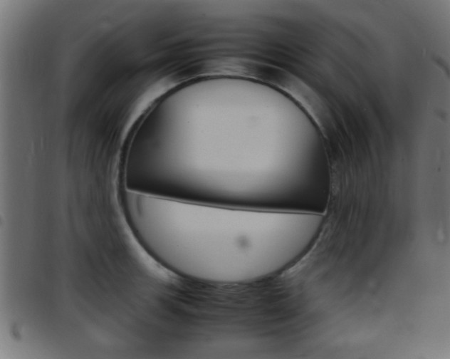 X0000097781139200803070908