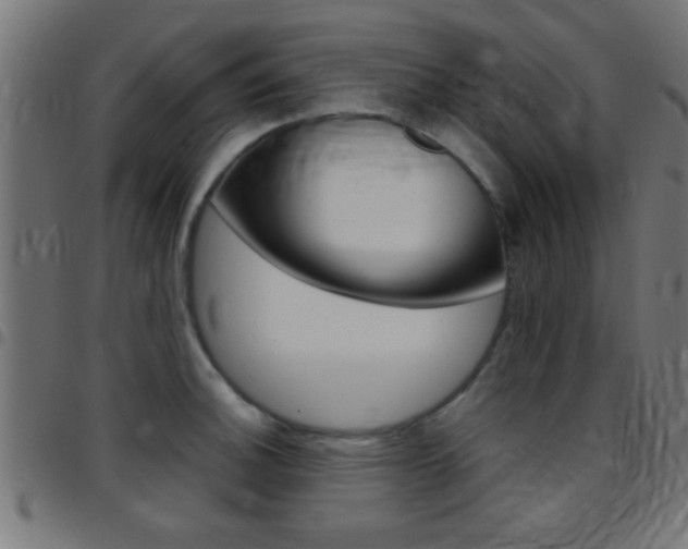 X0000097781140200803070908