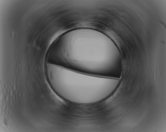 X0000097781141200803070908