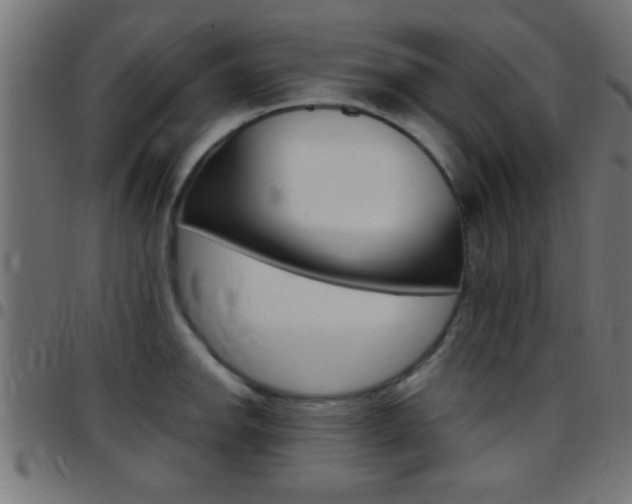 X0000097781142200803070908