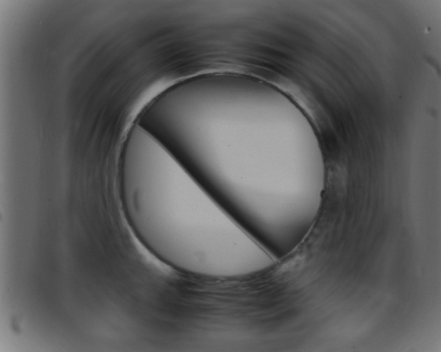 X0000097781143200803070908