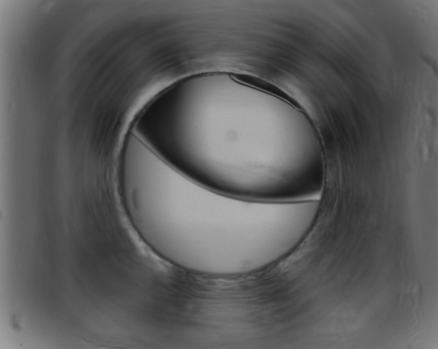 X0000097781144200803070908