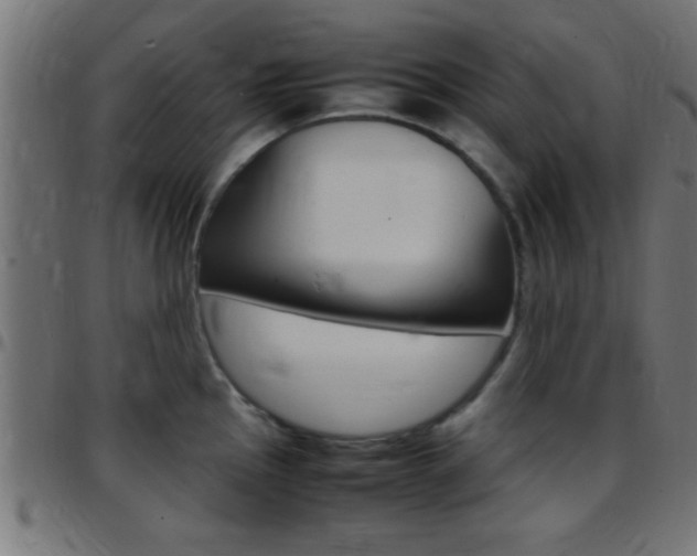 X0000097781145200803070908