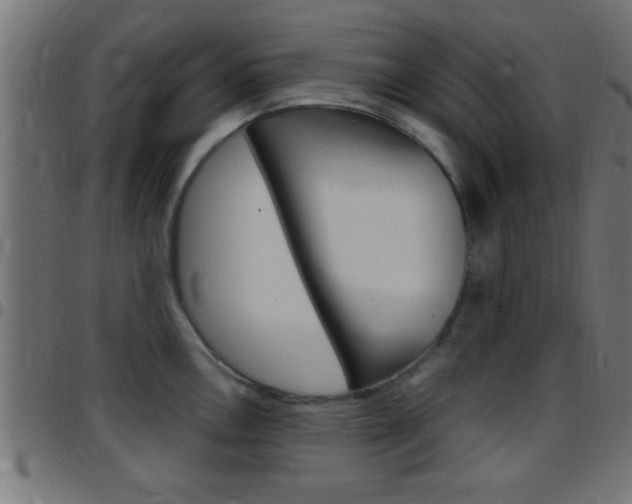 X0000097781146200803070908
