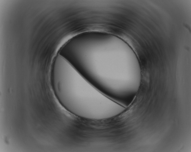 X0000097781147200803070908