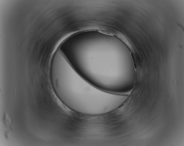 X0000097781148200803070908