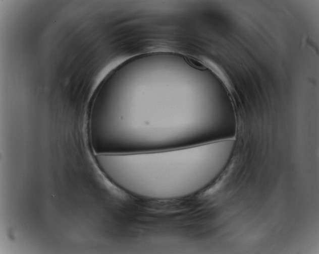 X0000097781149200803070908