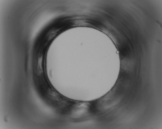 X0000097781150200803070908