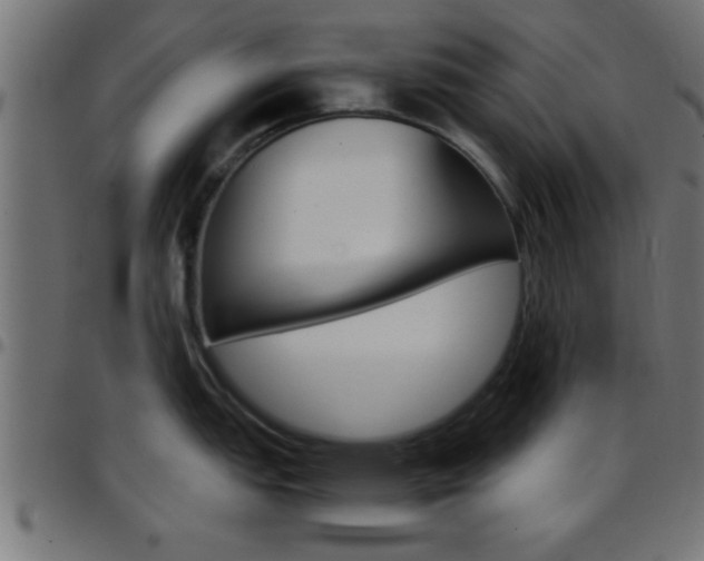 X0000097781151200803070908