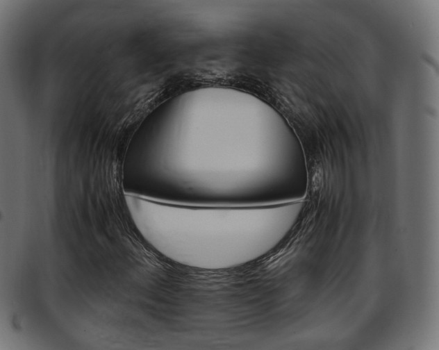 X0000097781156200803070907