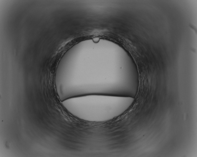 X0000097781158200803070907