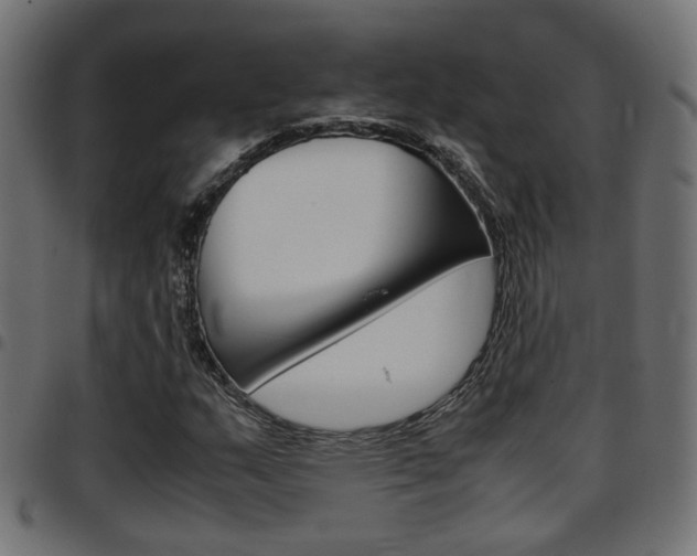 X0000097781159200803070907