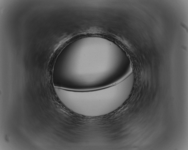 X0000097781160200803070907