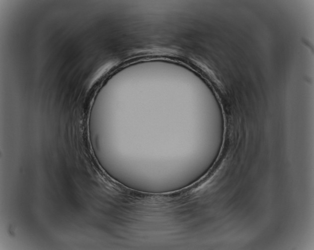 X0000097781163200803070907