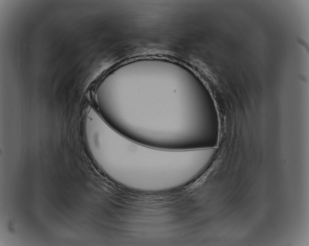 X0000097781165200803070907