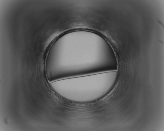 X0000097781167200803070907