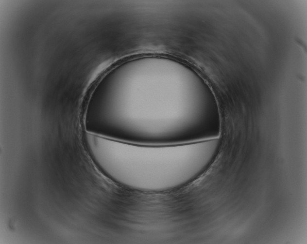 X0000097781168200803070907