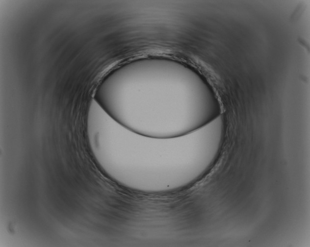 X0000097781169200803070907