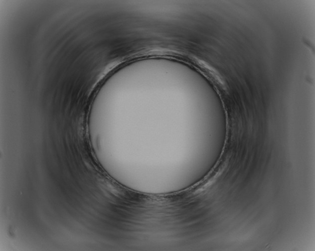 X0000097781170200803070907