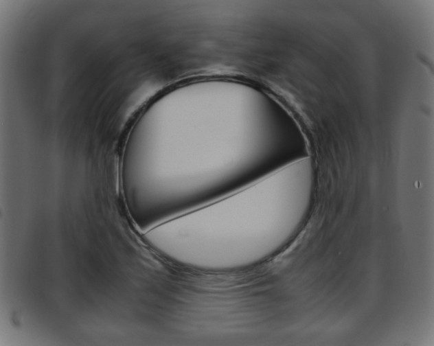 X0000097781171200803070907
